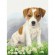 Cross stitch pattern for a phone - Terrier puppy
