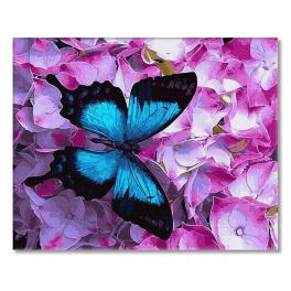 PC4050525 Malen nach Zahlen - Schmetterlingsfarben