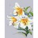 Kreuzstichvorlage für Smartphone - Duftende Lilien