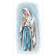 ZN 10534 Stickpackung vorgedruckt - Mutter Gottes vom Rosenkranz