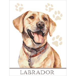 Z 10863 Cross stitch kit - Dog - Labrador