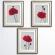 Kreuzstichmuster für Smartphone - Karminrote Mohnblumen - Triptychon