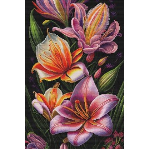 NPE 3565 Stickpackung - Blumen-Rhapsodie