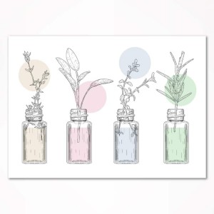 0294PL Poster - Plants in bottles