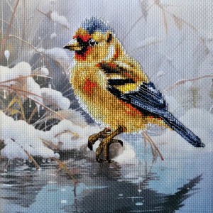 ZT 10887 Stickpackung mit Hintergrund - Wintervogel