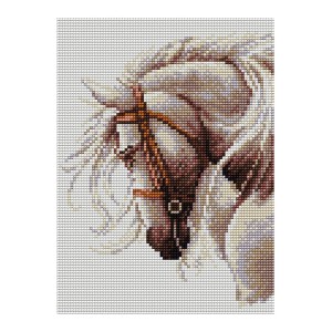 GC 5340 Kreuzstichmuster auf Papier - Horse portrait