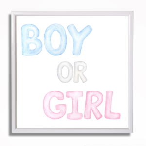 0493RA Babypartybild - Boy or Girl