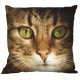 GU 8843-01 Stickvorlage - Kissen - Katze Lucky