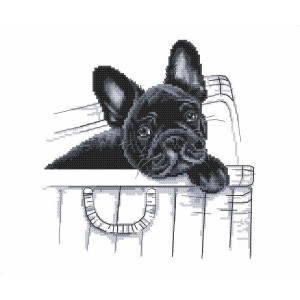 Z 8767 Cross stitch kit - French bulldog - Here I am