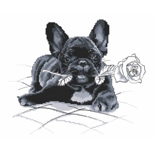 GC 8769 Cross stitch pattern on paper - French bulldog - I'm sorry