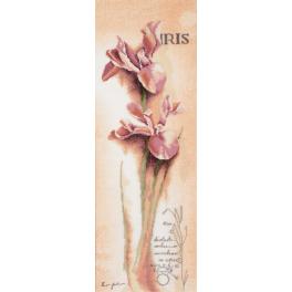 LPN-0008049 Stickpackung mit Hintergrund - Botanische Iris
