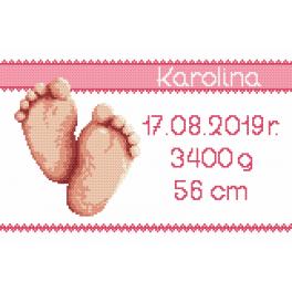W 8971-01 stickvorlage ONLINE pdf - Geburtsschein - Mädchen