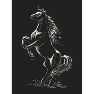 Z 10243 Cross stitch kit - Enchanted horse