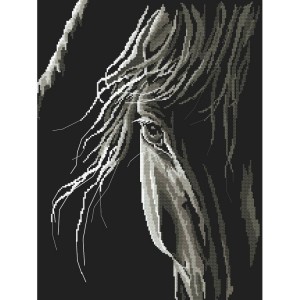 GC 10246 Cross stitch pattern on paper - Horse's look