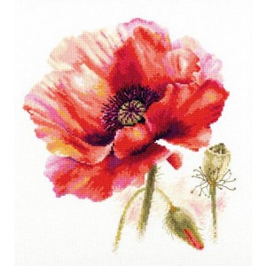 ALI 2-46 Cross stitch kit - Bright red poppy