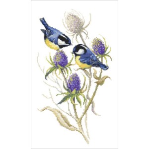 AN 10437 Tapestry Aida - Tits and thistles