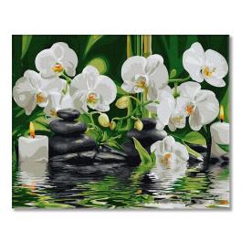 PC4050567 Malen nach Zahlen - Orchideen im stillen Wasser