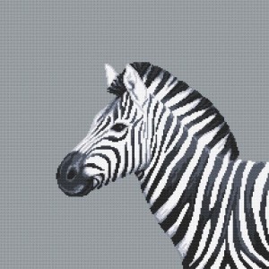 Z 10656 Cross stitch kit - Black and white zebra