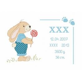 S 8635-02 Kreuzstichvorlage für Smartphone - Geburtsschein mit Häschen